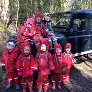 Grayswood Nursery's Defender