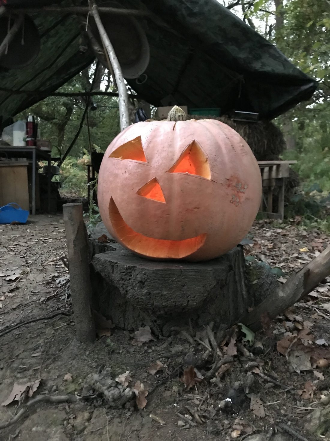 Nursery Pumpkin